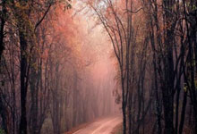 DB彩票官方网站-利物浦攻防火力全开，防守迎挑战