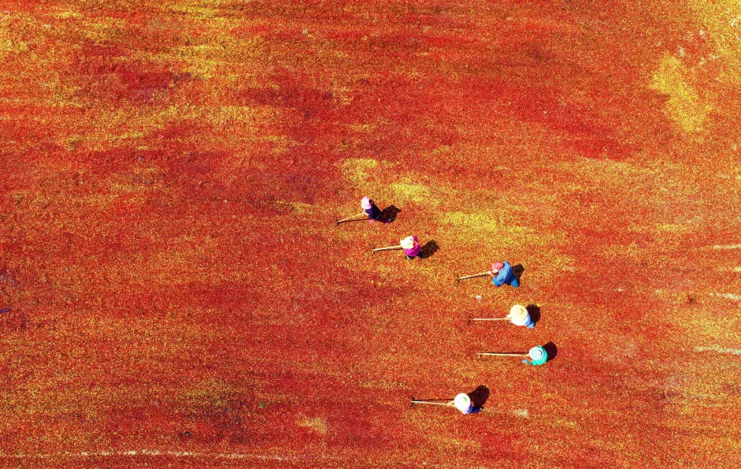 关于江西绿地田野奔跑，夺得关键胜利！的信息