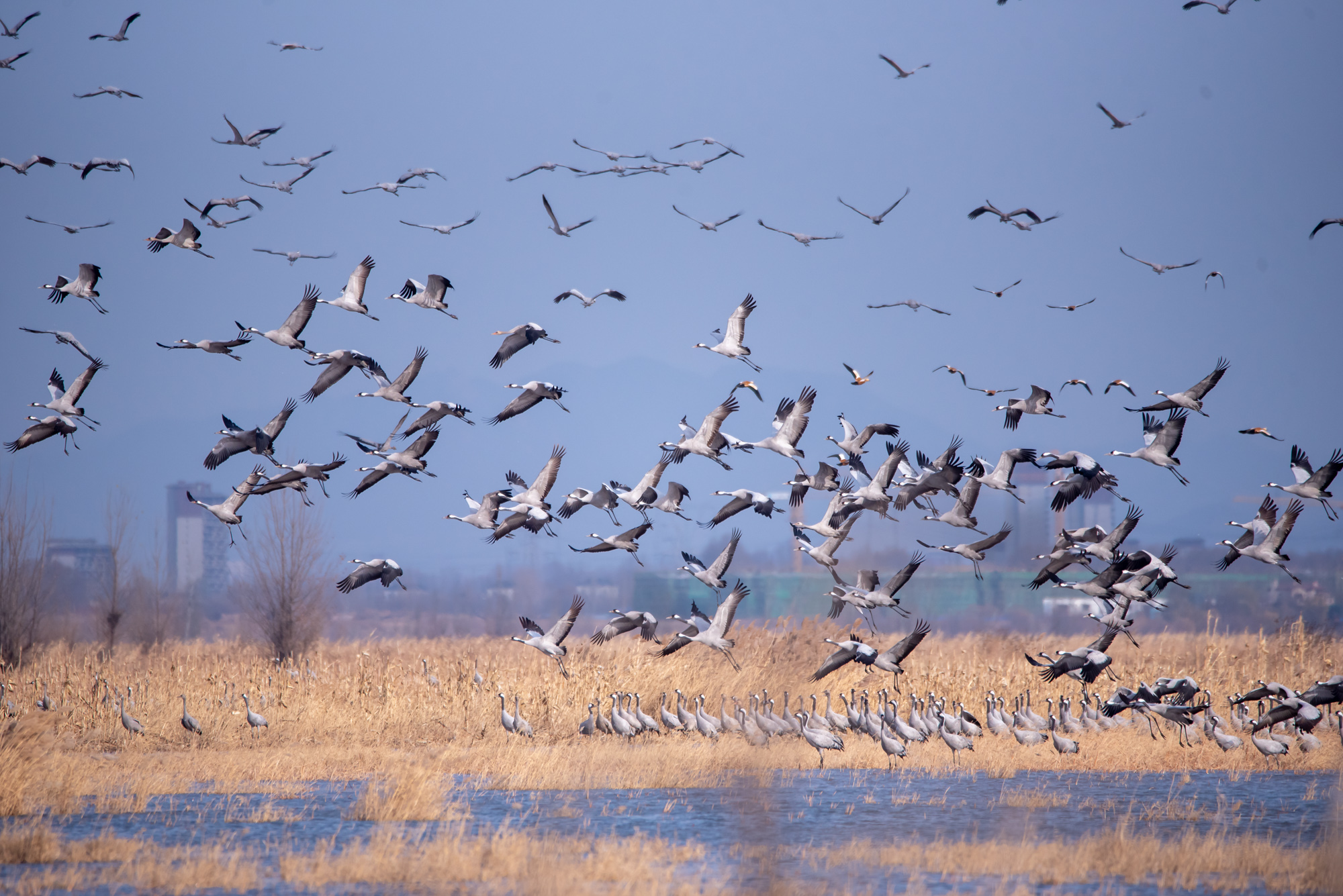 DB彩票-关于埃因霍温新气象：云霓风晦终见长空的信息