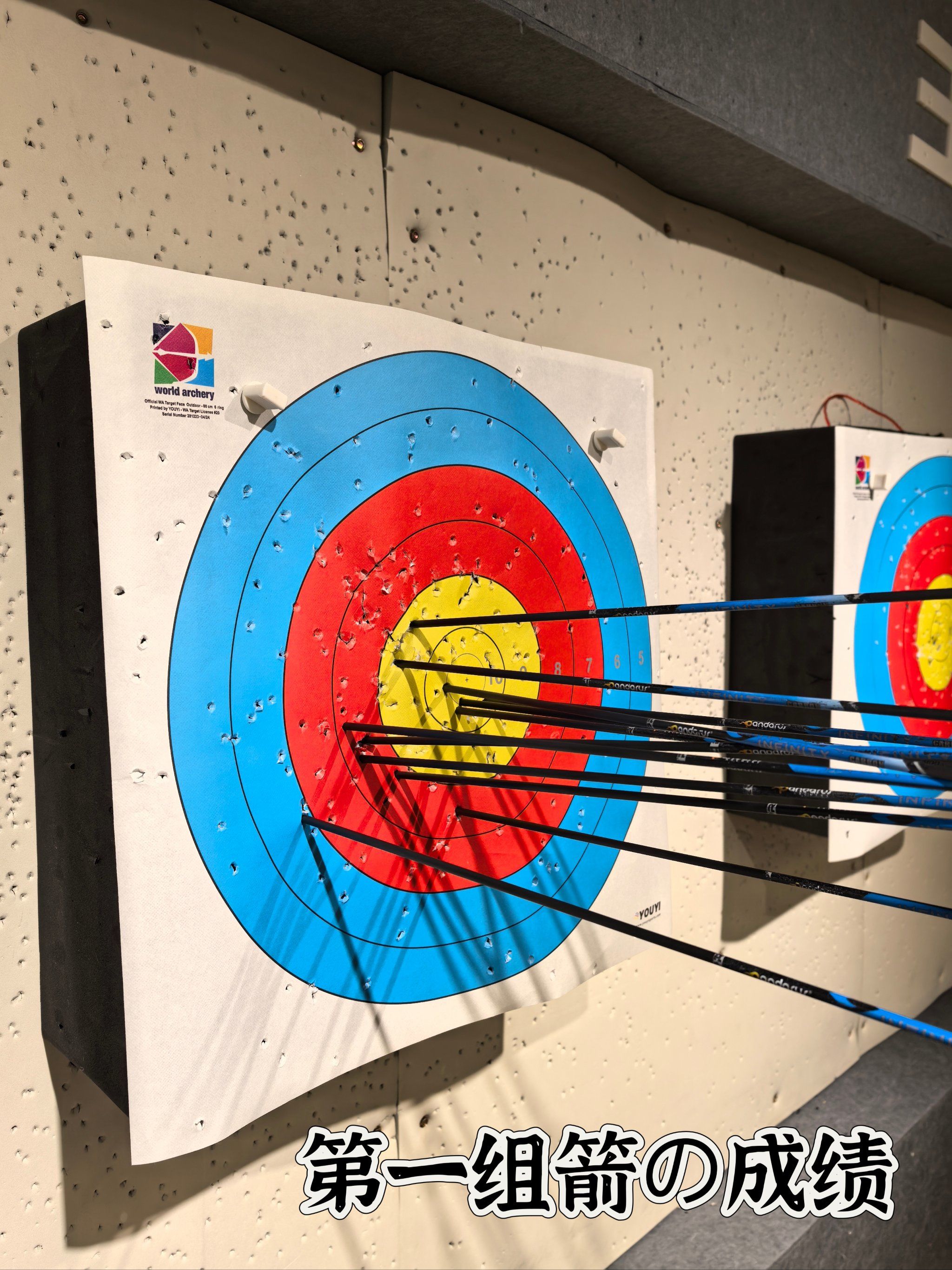 瑞典选手在射箭比赛中展现出色准心 瑞典选手在射箭比赛中展现出色准心